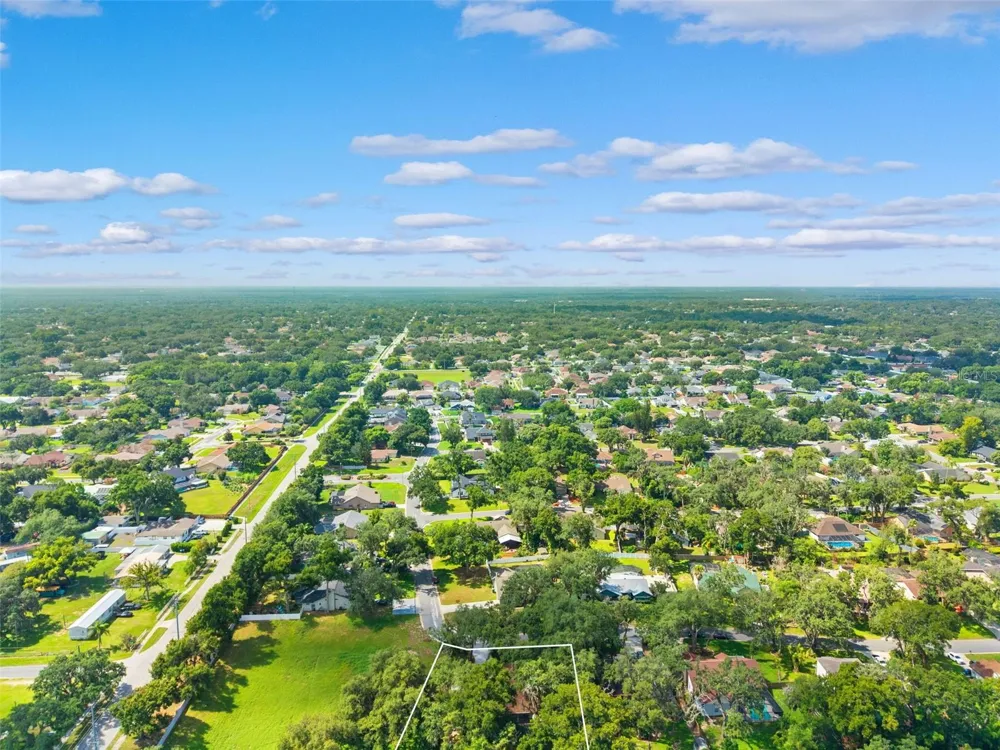 2770 BUCKHORN OAKS DRIVE Valrico, FL 33594
