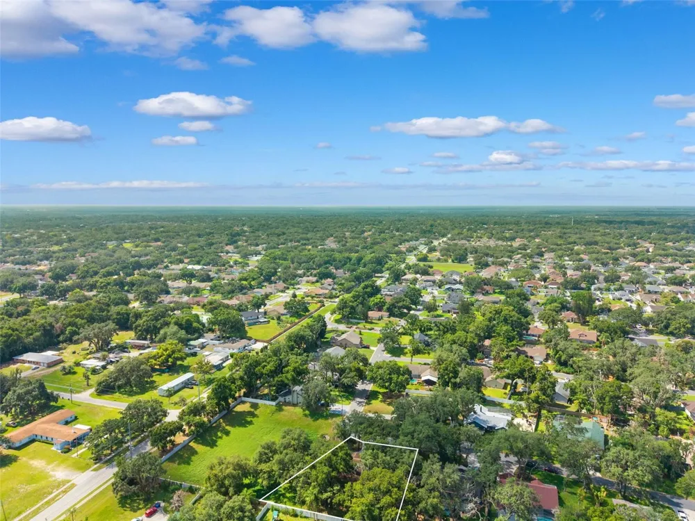 2770 BUCKHORN OAKS DRIVE Valrico, FL 33594