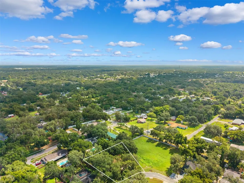2770 BUCKHORN OAKS DRIVE Valrico, FL 33594