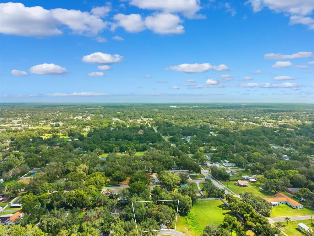 2770 BUCKHORN OAKS DRIVE Valrico, FL 33594