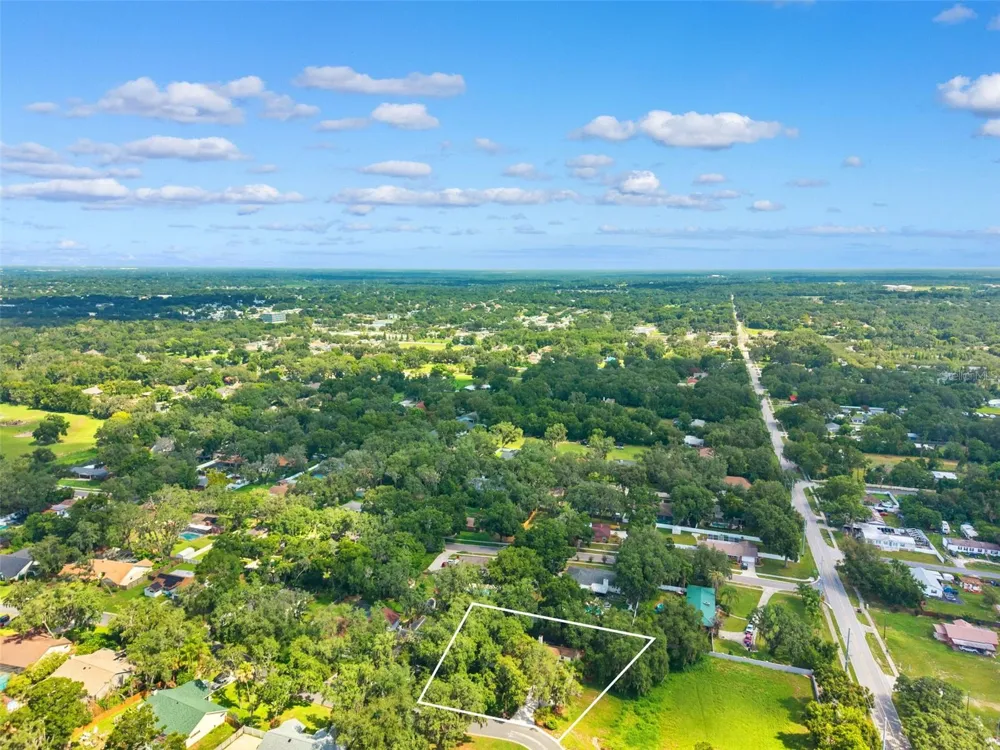 2770 BUCKHORN OAKS DRIVE Valrico, FL 33594