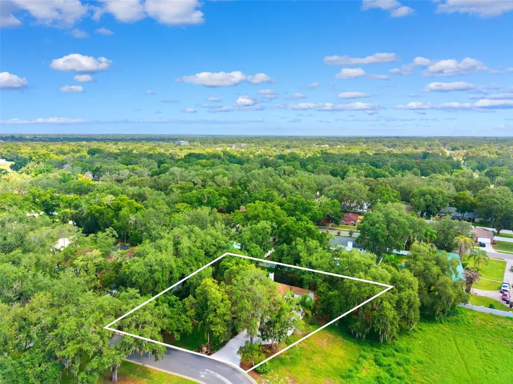 2770 BUCKHORN OAKS DRIVE Valrico, FL 33594