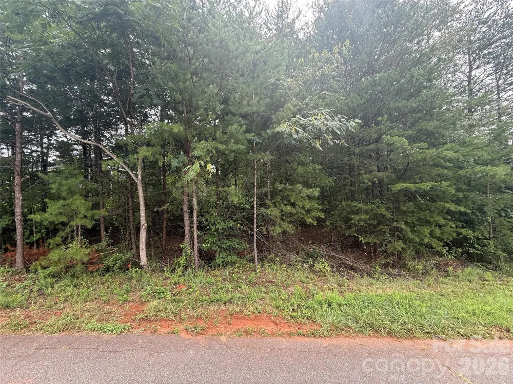 4356 Belmont Drive Morganton, NC 28655