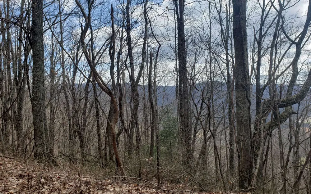 LT 35 Calvender Road Turtletown, TN 37317