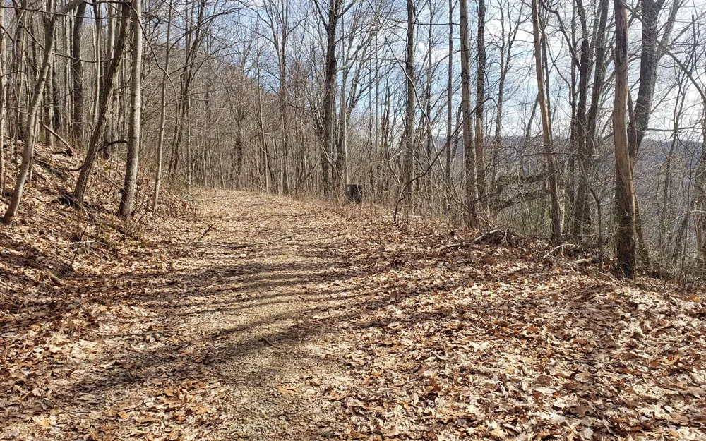 LT 35 Calvender Road Turtletown, TN 37317