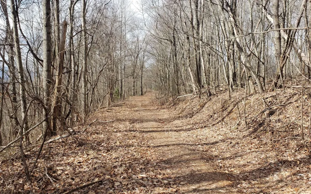LT 35 Calvender Road Turtletown, TN 37317