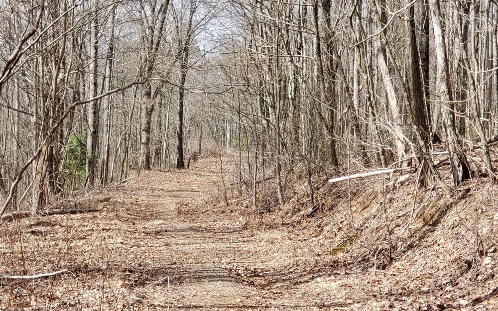LT 35 Calvender Road Turtletown, TN 37317