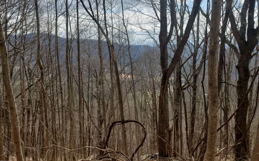 LT 35 Calvender Road Turtletown, TN 37317
