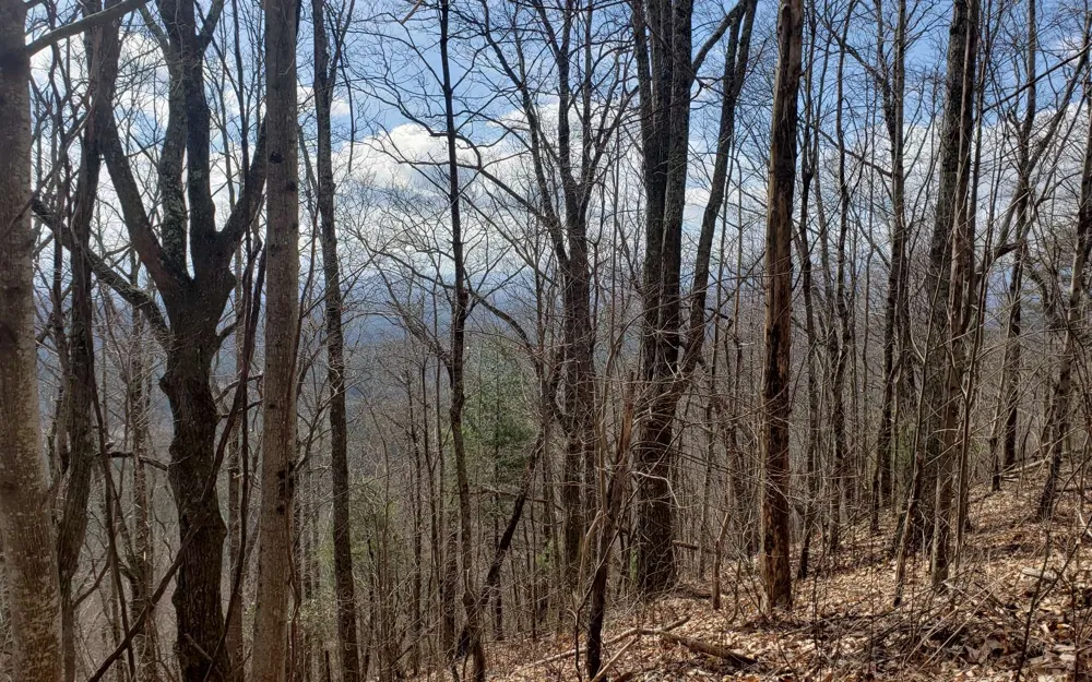 LT 35 Calvender Road Turtletown, TN 37317