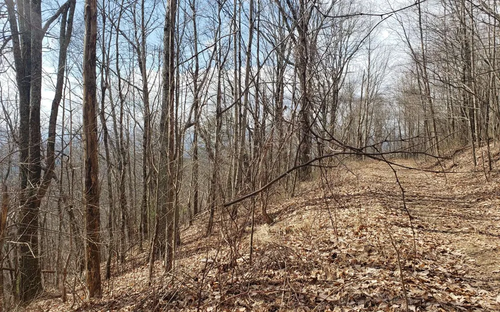 LT 35 Calvender Road Turtletown, TN 37317