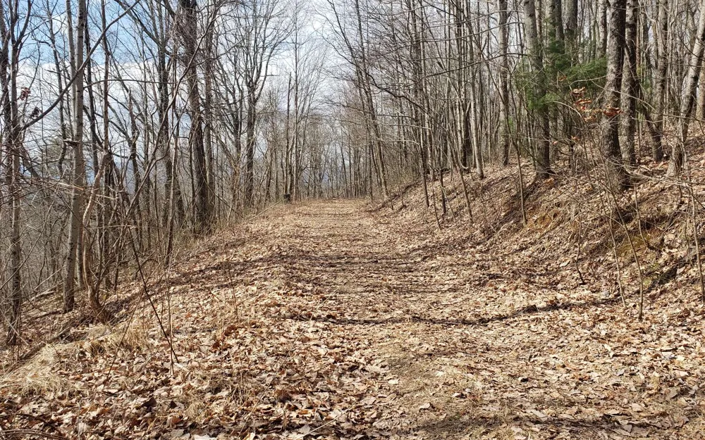 LT 35 Calvender Road Turtletown, TN 37317
