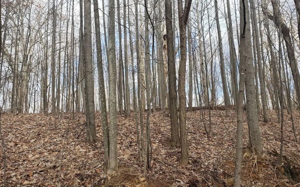 LT 35 Calvender Road Turtletown, TN 37317