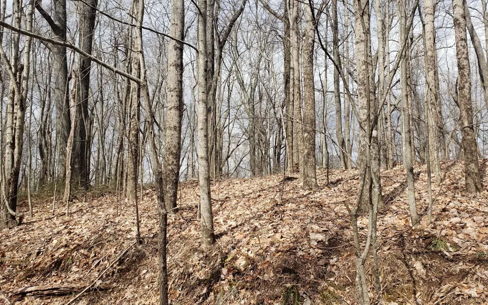 LT 35 Calvender Road Turtletown, TN 37317