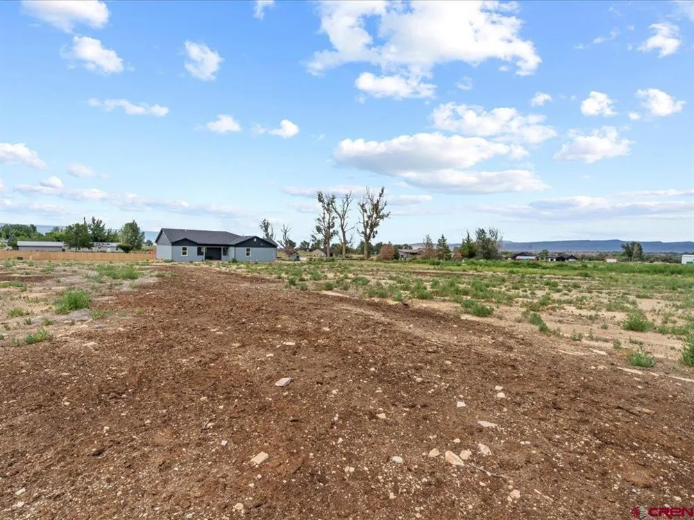 54230 Faith Trail Olathe, CO 81425