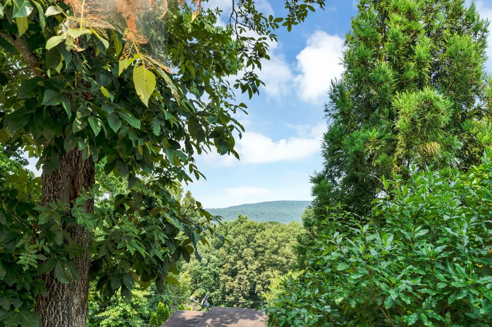 405 Indian Hills Drive Dayton, TN 37321
