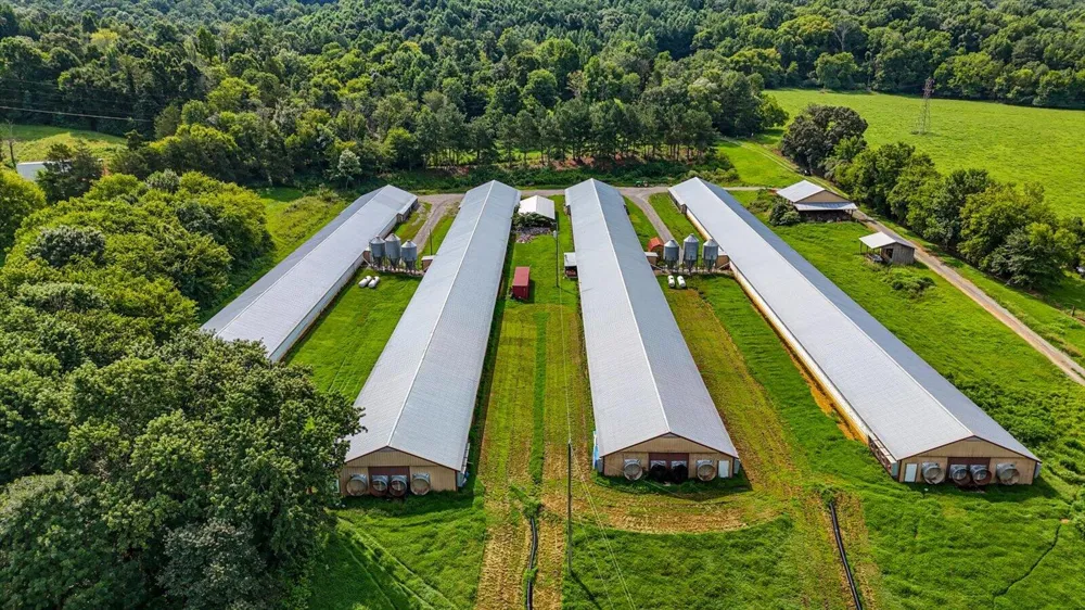 810 Ketner Cove Road Whitwell, TN 37397