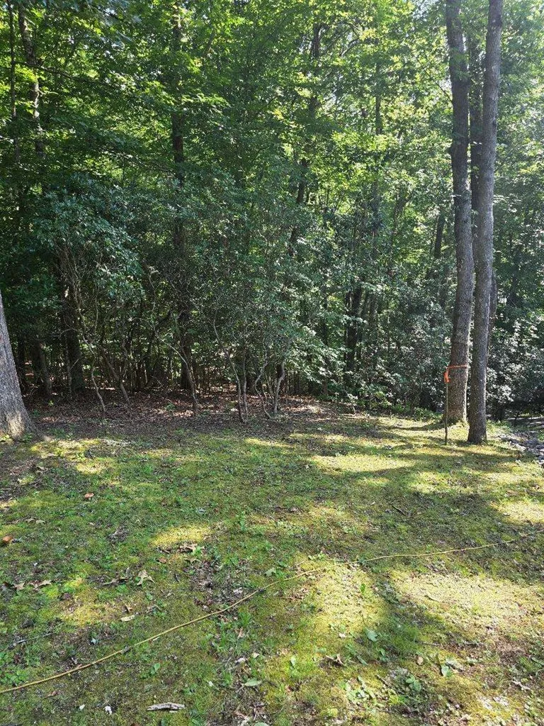 Parker Farm Franklin, NC 28734