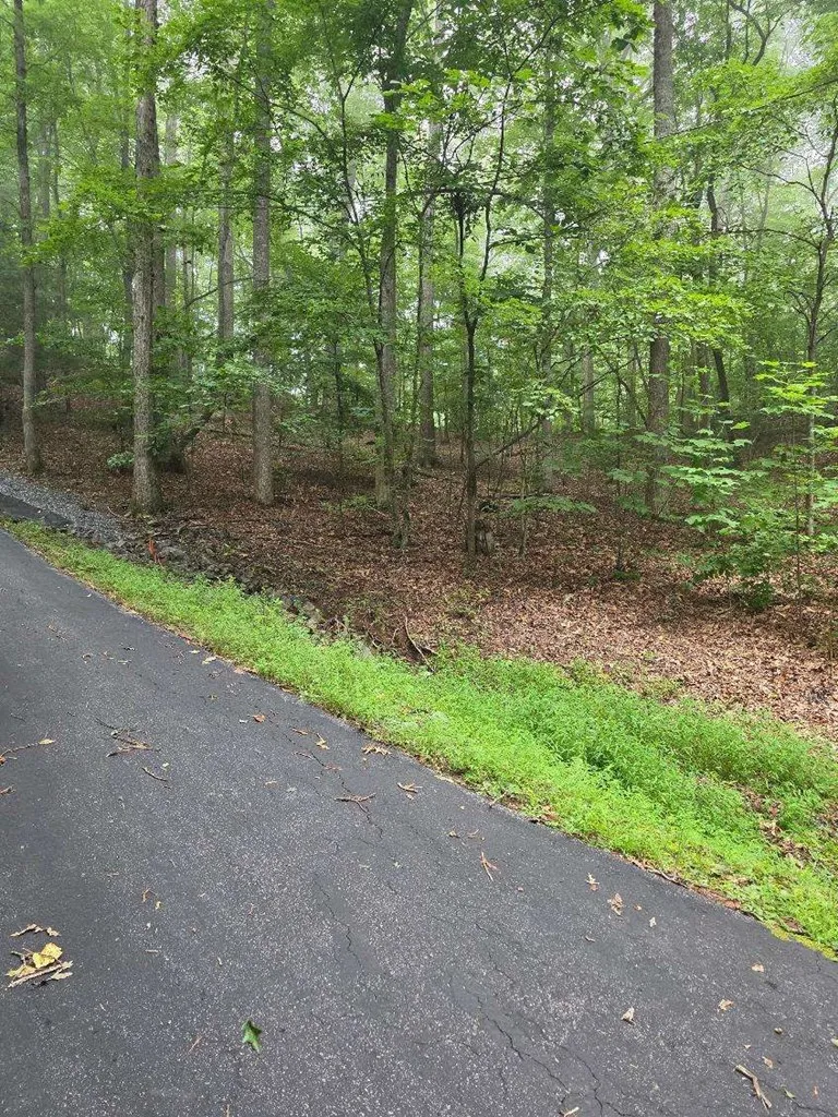 Parker Farm Franklin, NC 28734
