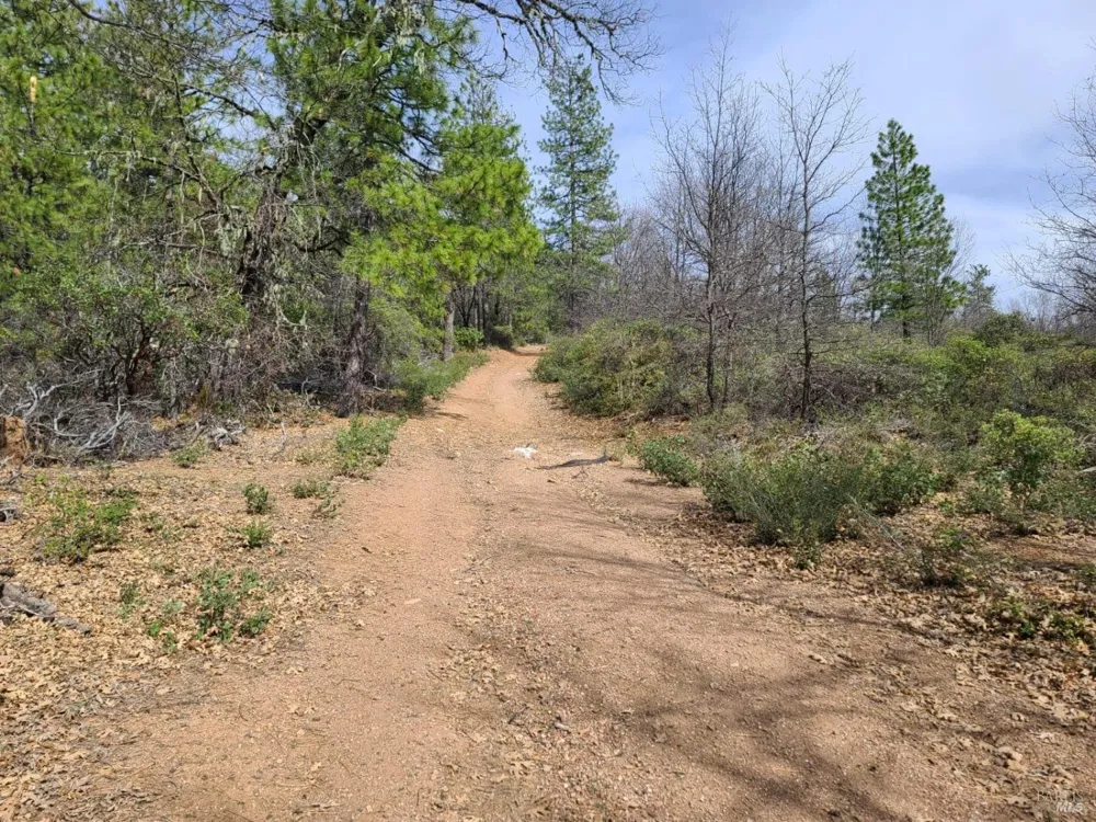 47700 Bentley Ridge Road Covelo, CA 95428