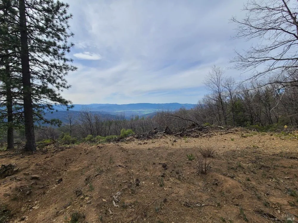 47700 Bentley Ridge Road Covelo, CA 95428