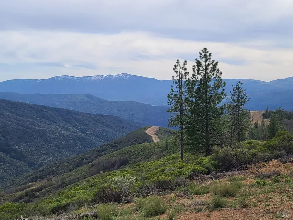 47700 Bentley Ridge Road Covelo, CA 95428