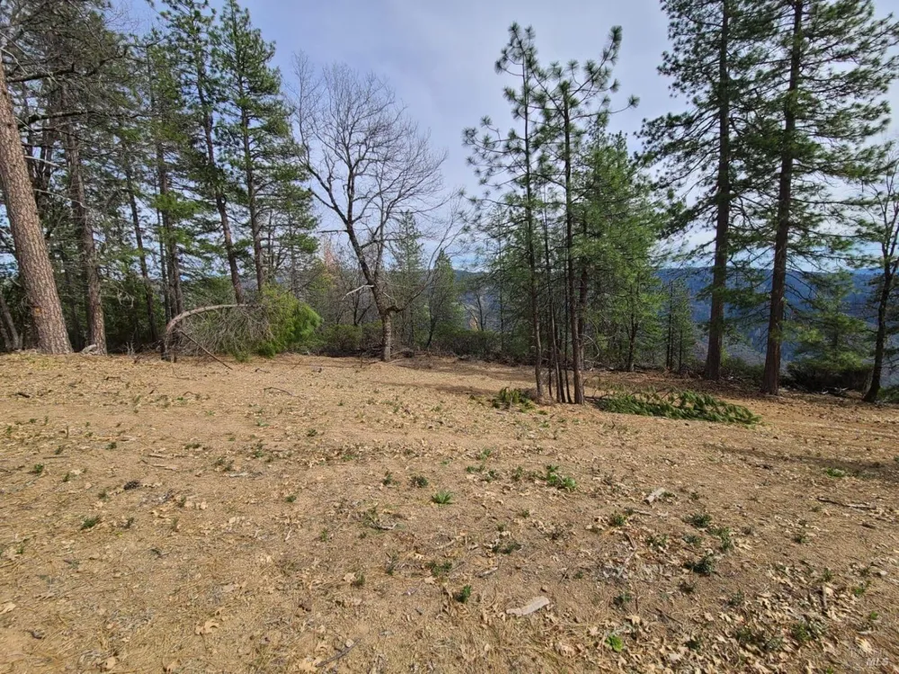 47700 Bentley Ridge Road Covelo, CA 95428