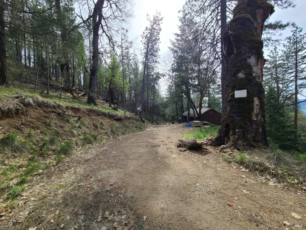 47700 Bentley Ridge Road Covelo, CA 95428