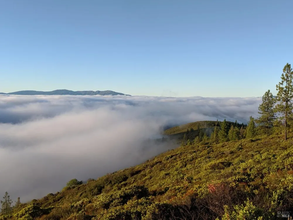 47700 Bentley Ridge Road Covelo, CA 95428