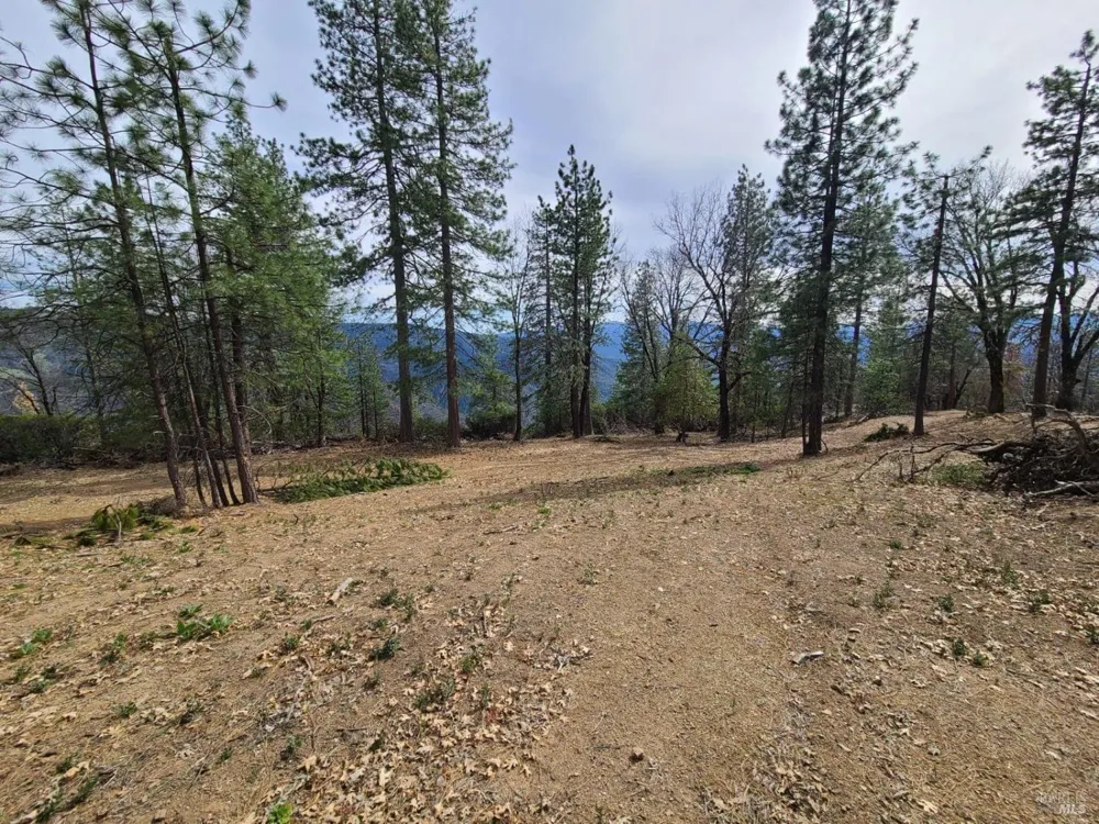 47700 Bentley Ridge Road Covelo, CA 95428