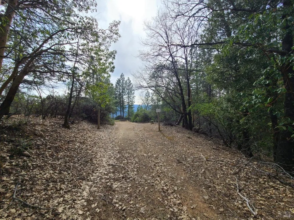 47700 Bentley Ridge Road Covelo, CA 95428