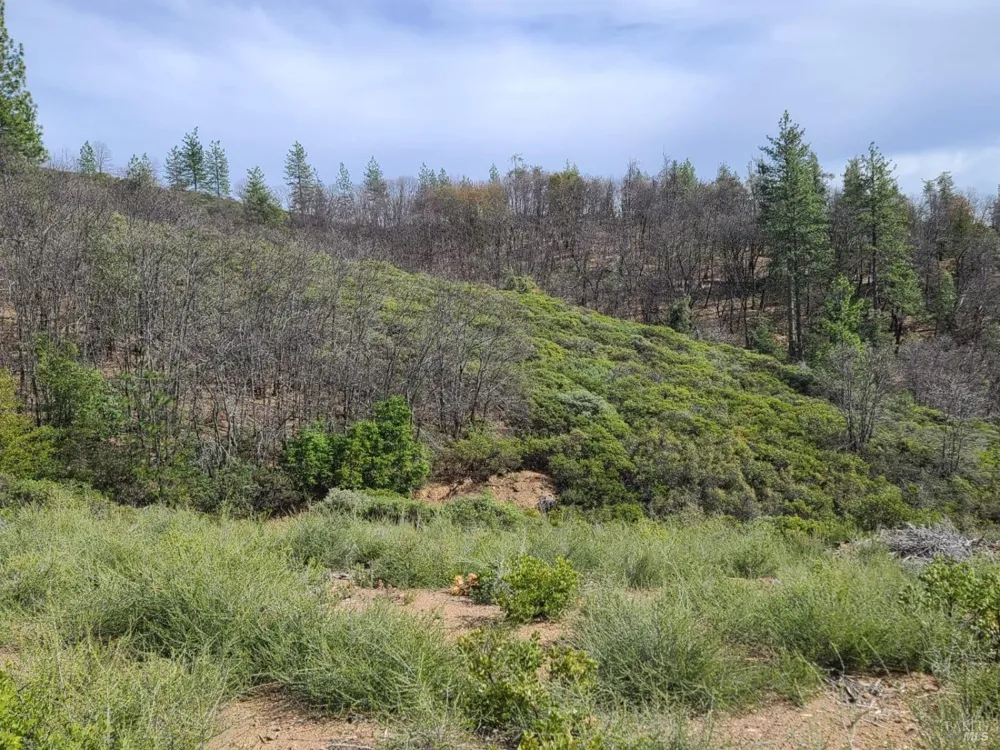 47700 Bentley Ridge Road Covelo, CA 95428