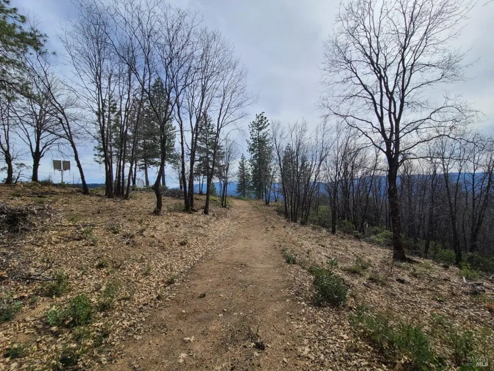 47700 Bentley Ridge Road Covelo, CA 95428