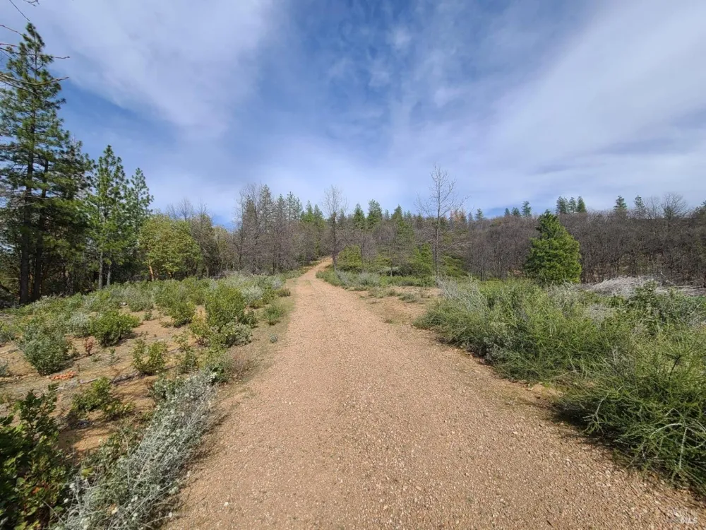 47700 Bentley Ridge Road Covelo, CA 95428