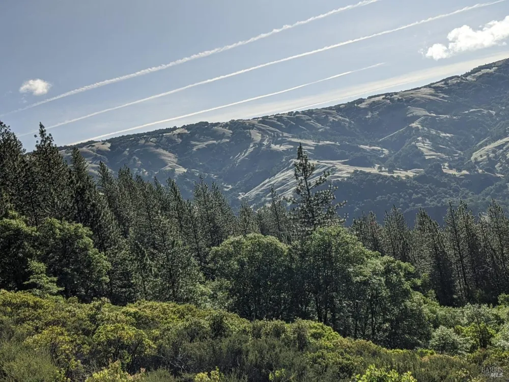 47700 Bentley Ridge Road Covelo, CA 95428