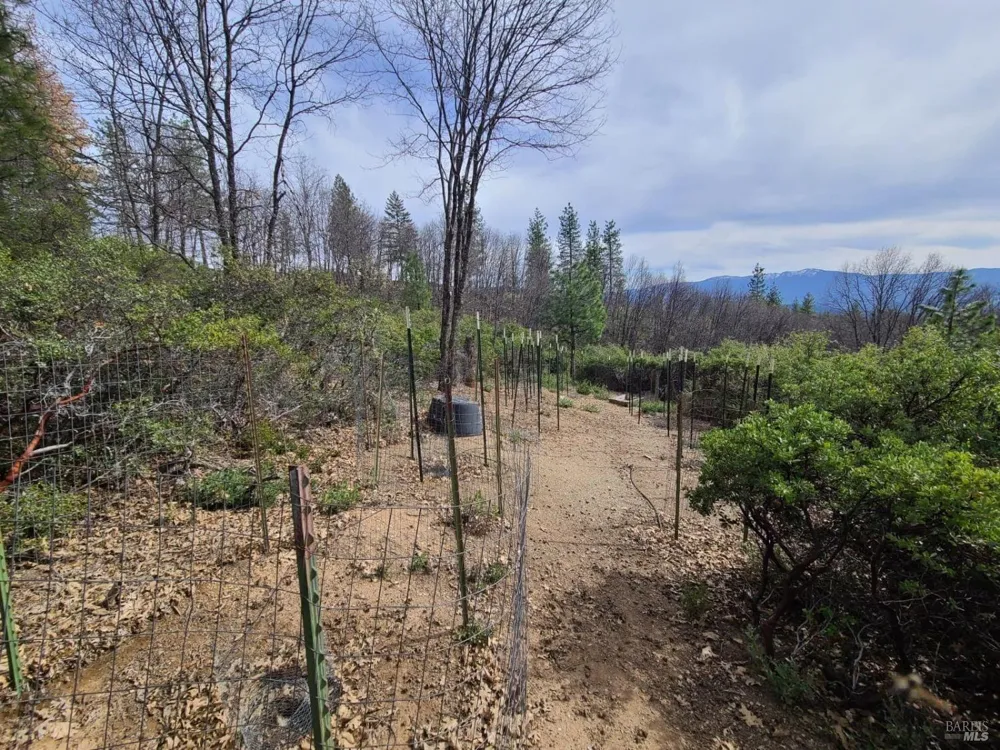 47700 Bentley Ridge Road Covelo, CA 95428