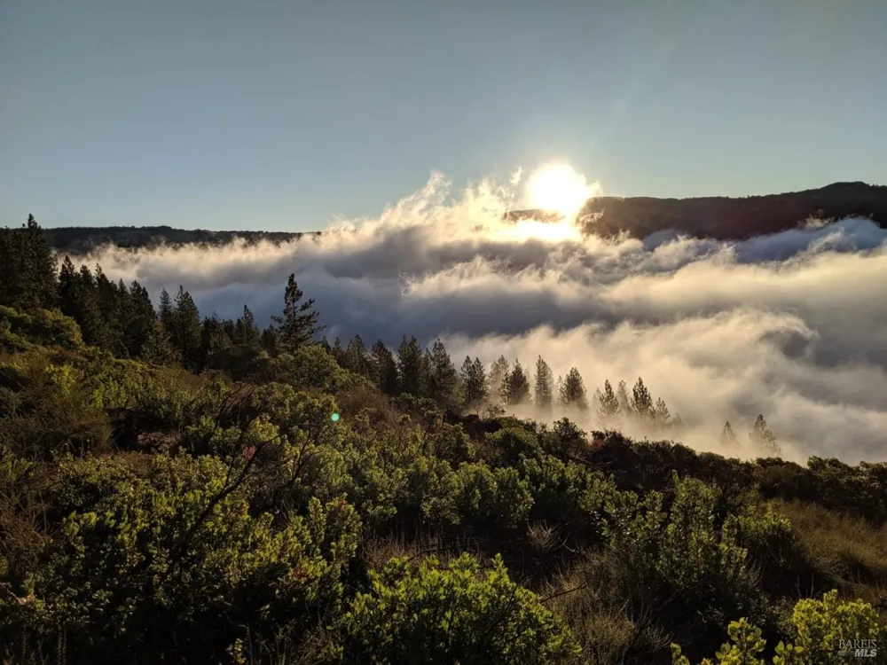 47700 Bentley Ridge Road Covelo, CA 95428