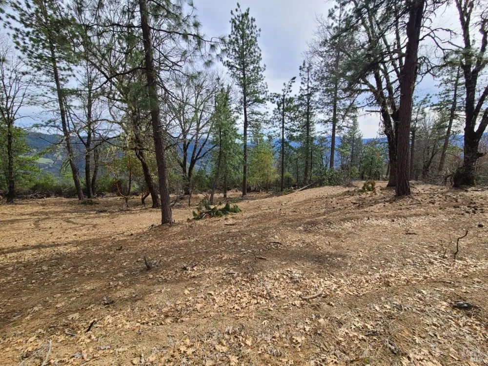 47700 Bentley Ridge Road Covelo, CA 95428