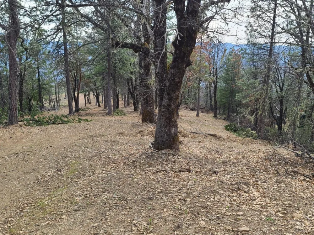 47700 Bentley Ridge Road Covelo, CA 95428