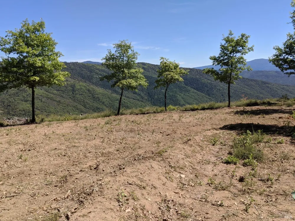 47700 Bentley Ridge Road Covelo, CA 95428