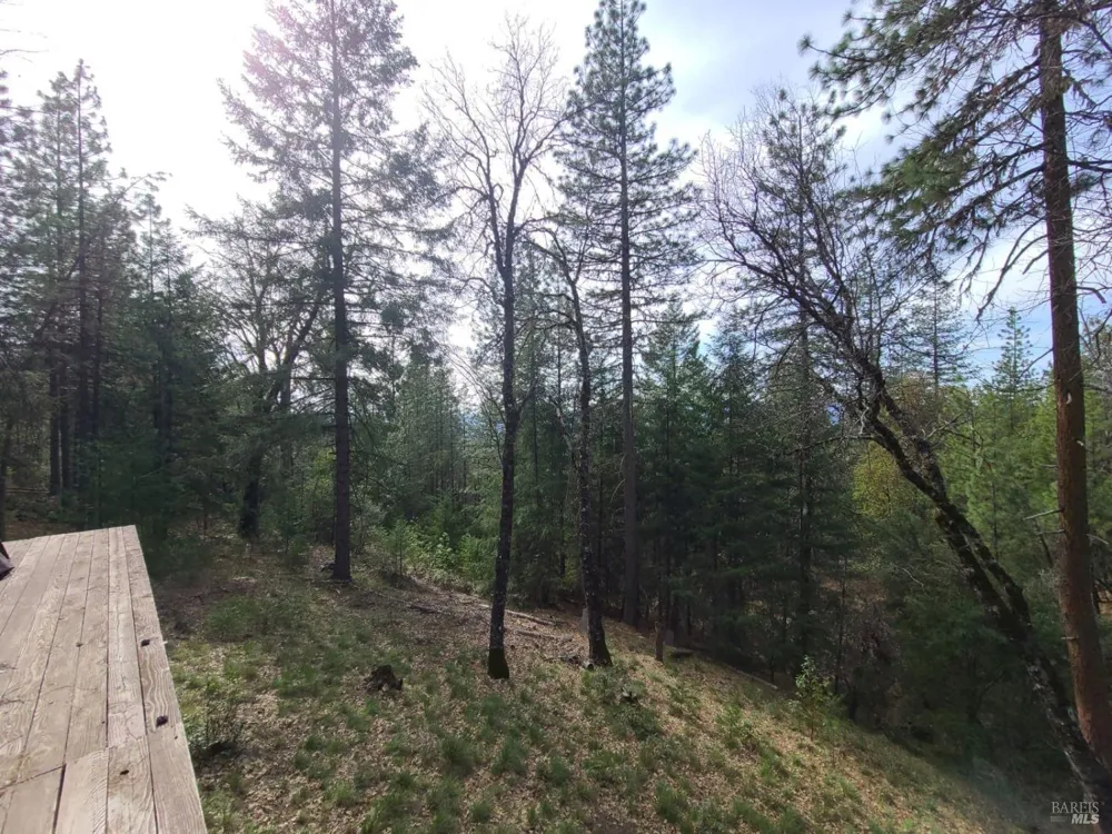 47700 Bentley Ridge Road Covelo, CA 95428