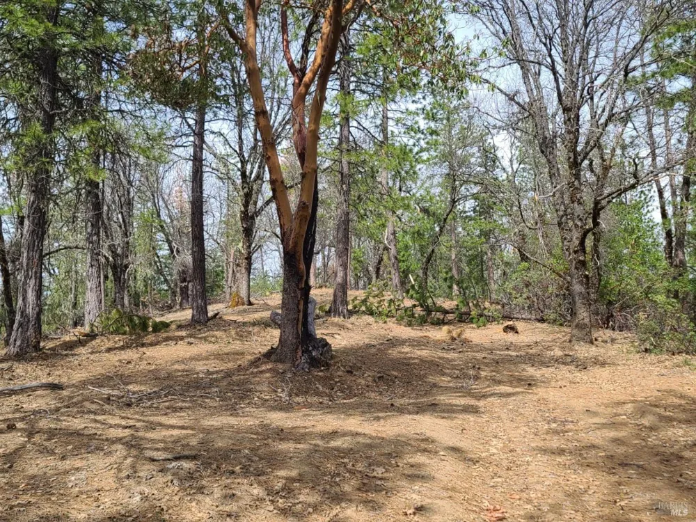 47700 Bentley Ridge Road Covelo, CA 95428