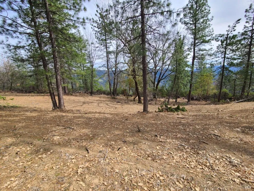 47700 Bentley Ridge Road Covelo, CA 95428