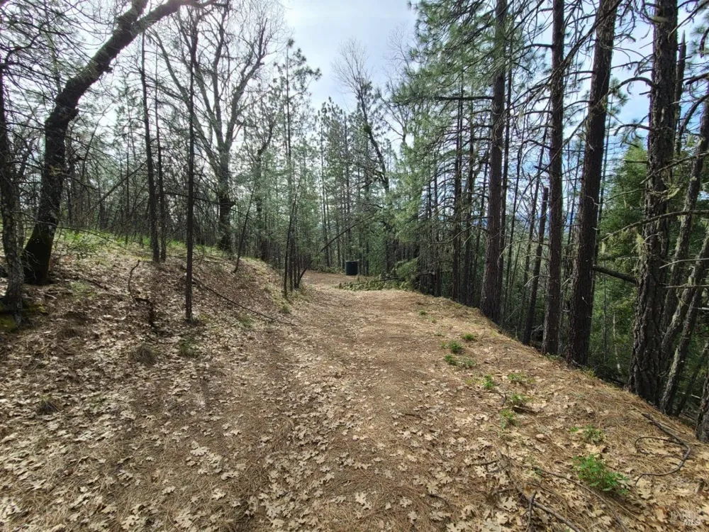 47700 Bentley Ridge Road Covelo, CA 95428
