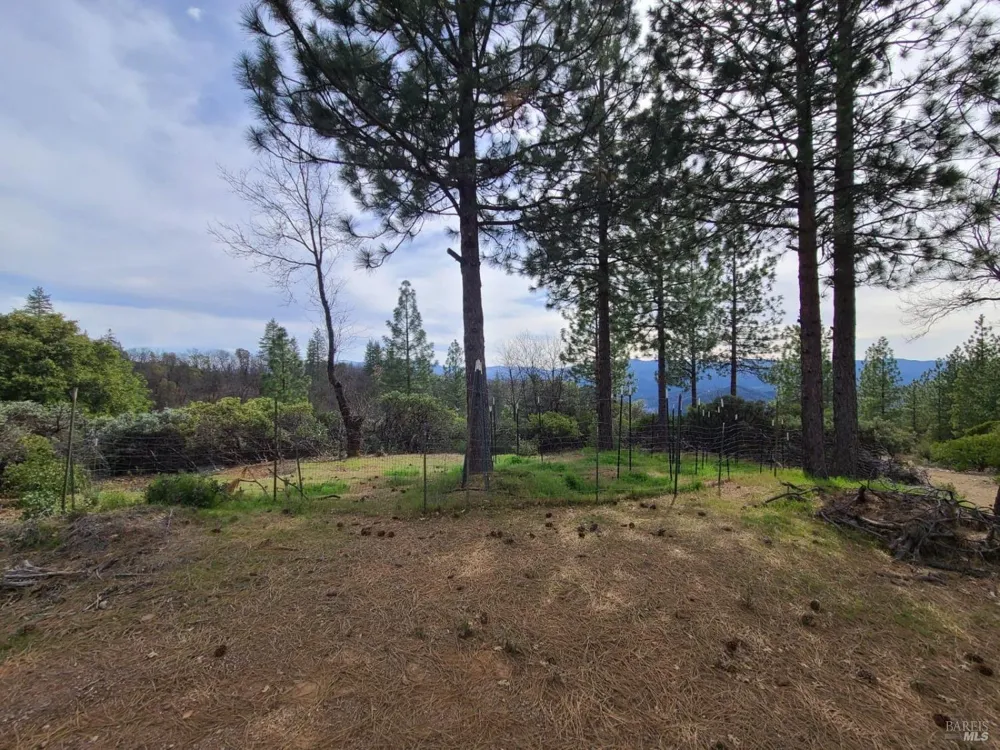 47700 Bentley Ridge Road Covelo, CA 95428