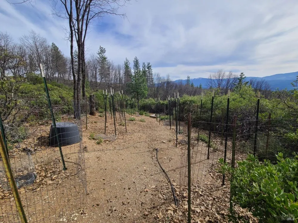 47700 Bentley Ridge Road Covelo, CA 95428