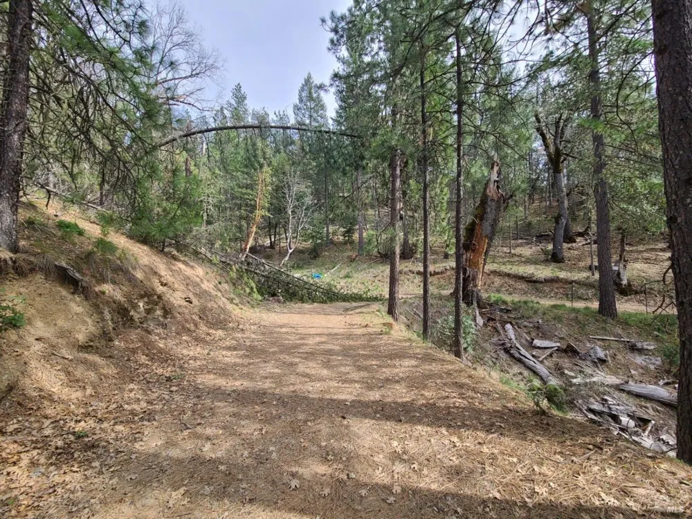 47700 Bentley Ridge Road Covelo, CA 95428