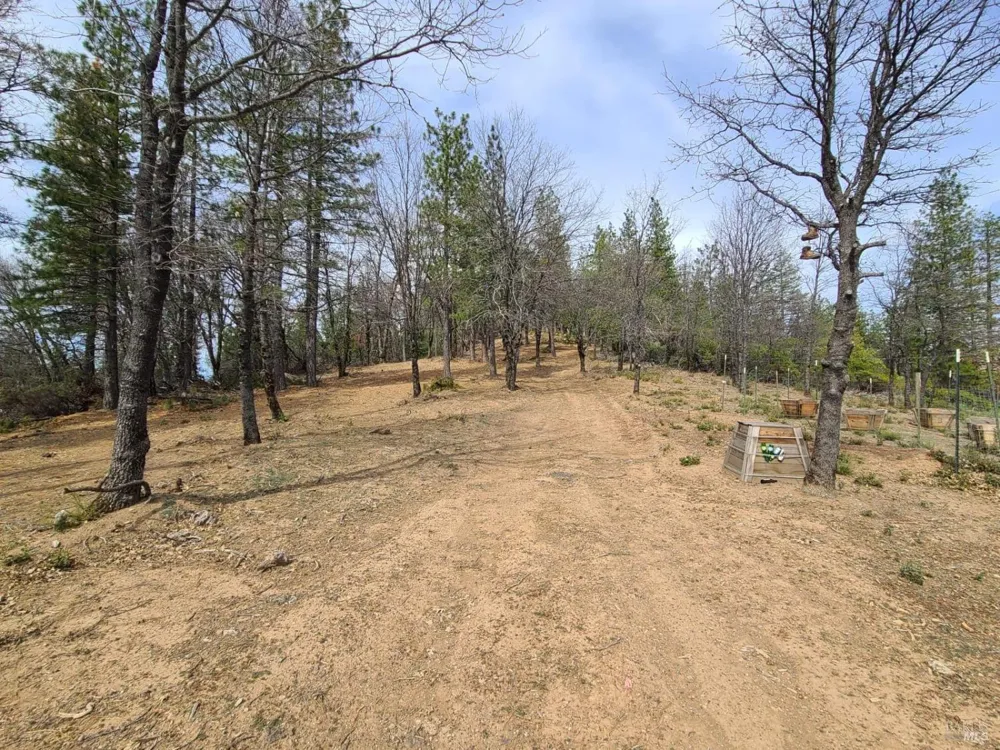 47700 Bentley Ridge Road Covelo, CA 95428