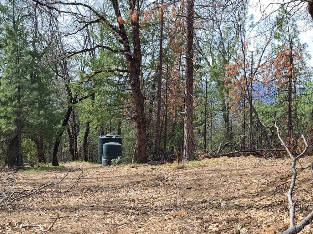 47700 Bentley Ridge Road Covelo, CA 95428