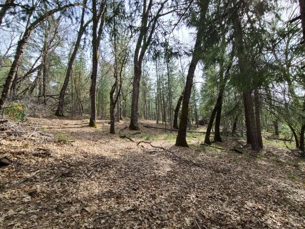 47700 Bentley Ridge Road Covelo, CA 95428