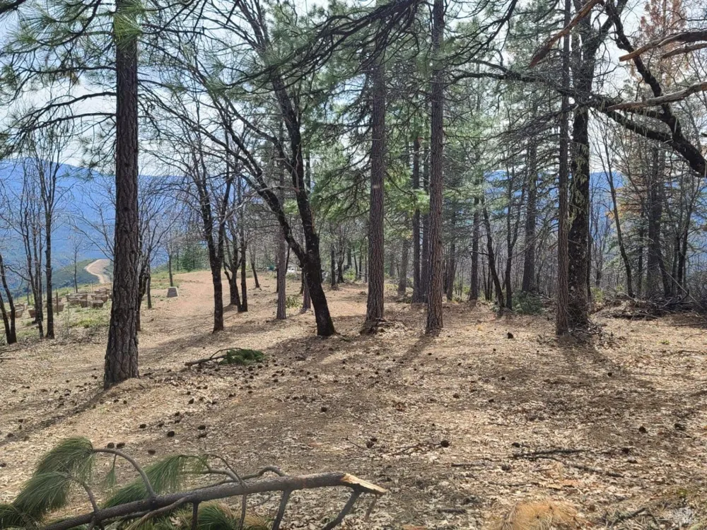 47700 Bentley Ridge Road Covelo, CA 95428